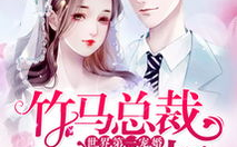 史上第一宠婚,霸道总裁的甜蜜宠爱之旅